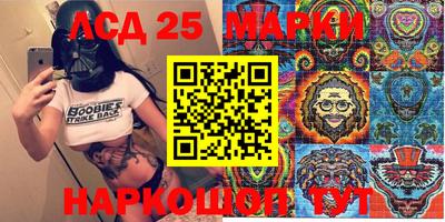 шишки Новодвинск