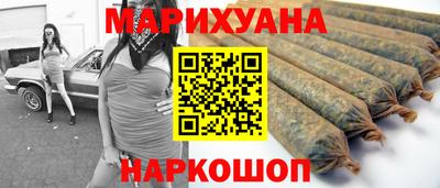 сатива Обь