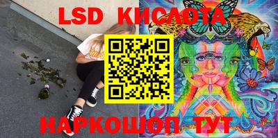 шишки Новодвинск
