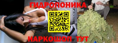 дурь Новокубанск