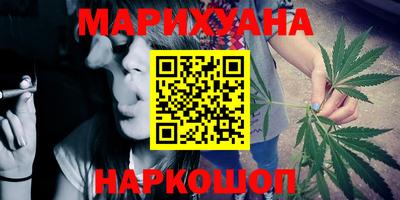 шишки Новодвинск
