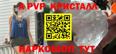 шишки Новодвинск