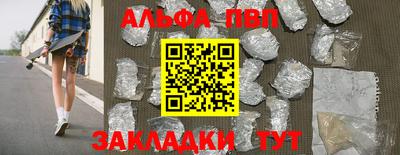 шишки Новодвинск