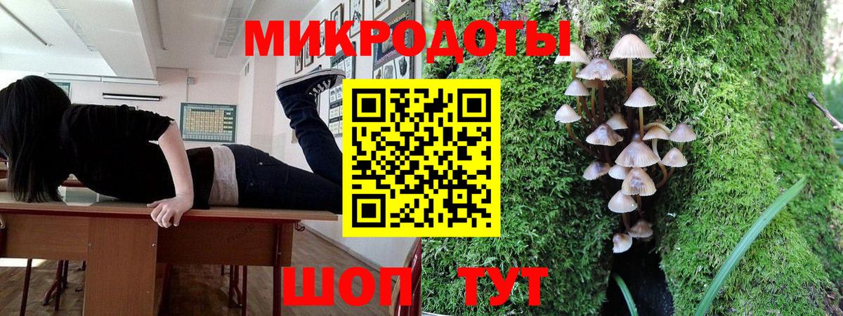 Псилоцибиновые грибы Cubensis Свободный